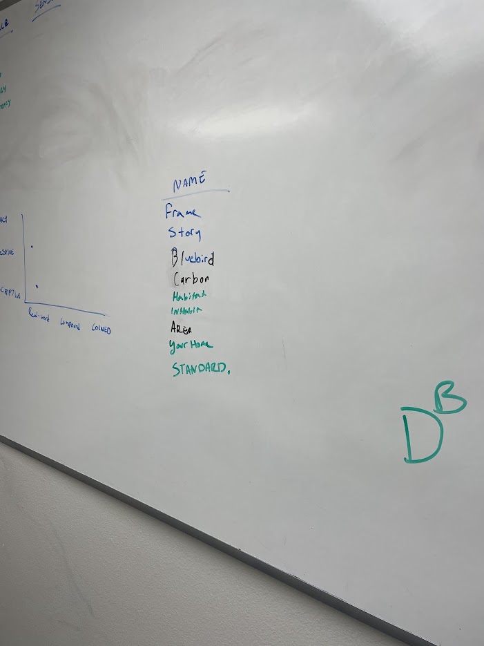 Whiteboard final naming list including Form, Story, Bluebird, Carbon, Habitat, Inhabit, Arena, Your Home, and Standard